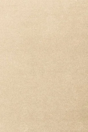 Ковровое покрытие AW Oinone 34 - (5м) в Тюмени