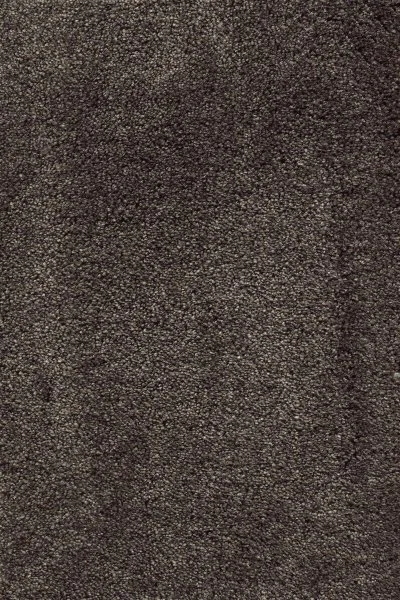 Ковровое покрытие AW Fedone 44 - (5м) в Тюмени