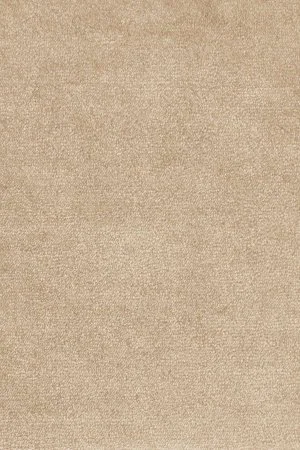 Ковровое покрытие AW Omphale 37 - (4м) в Тюмени