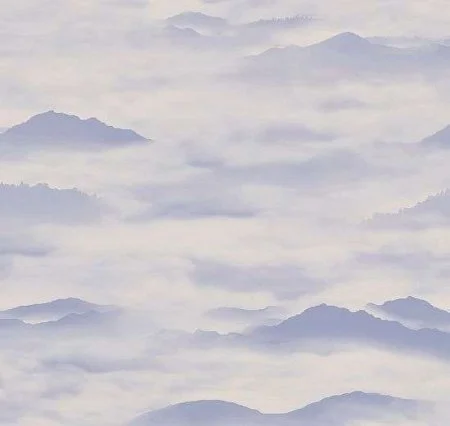 Обои Loymina Clair CLR4, 006 в Тюмени