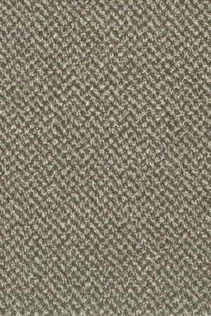Ковровое покрытие AW Stainaway Tweed 24 - (4м) в Тюмени