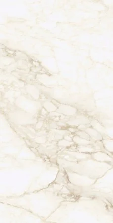 Керамогранит Coliseum Микеланджело Ворм 60х120 (Натуральный и Реттифицированный) в Тюмени