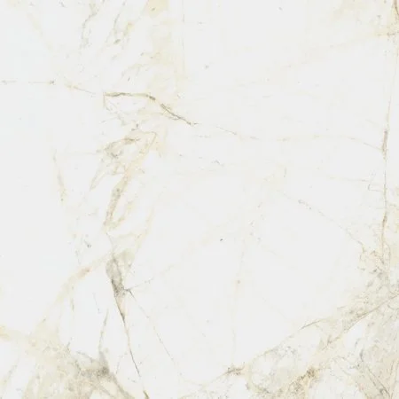 Керамогранит Coliseum Канова Уайт 60х60 (Натуральный и Реттифицированный) в Тюмени