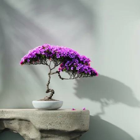 Обои Loymina Lotus LOT1 112 в Тюмени