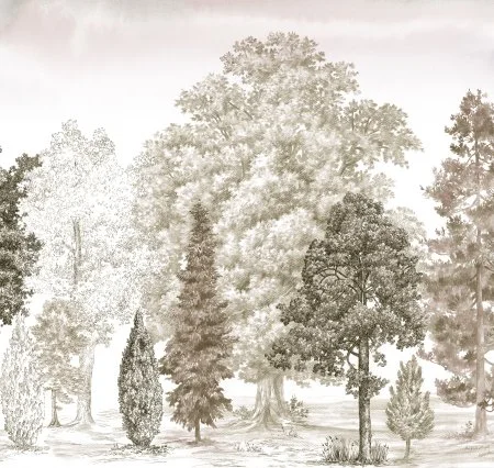 Обои Loymina Пейзаж vol. 2 ART14 012 в Тюмени