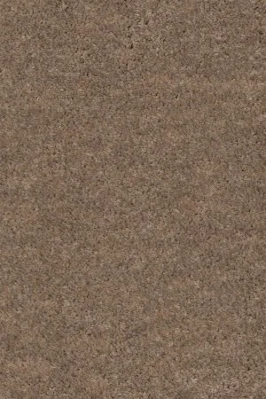 Ковровое покрытие AW Euphoria 36 - (4м) в Тюмени