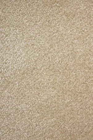 Ковровое покрытие AW Euphoria 33 - (5м) в Тюмени