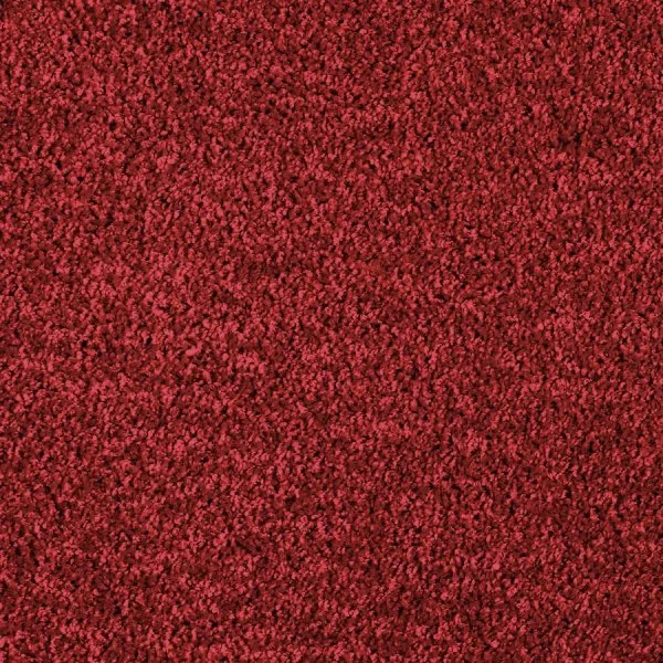 Ковровое покрытие AW Kiama 11 - (4м) в Тюмени