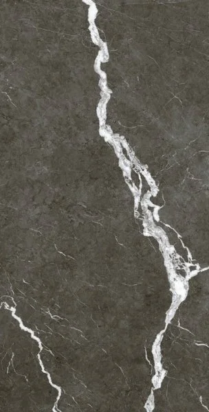 Керамогранит Coliseum Микеланджело Дарк 60х120 (Натуральный и Реттифицированный) в Тюмени