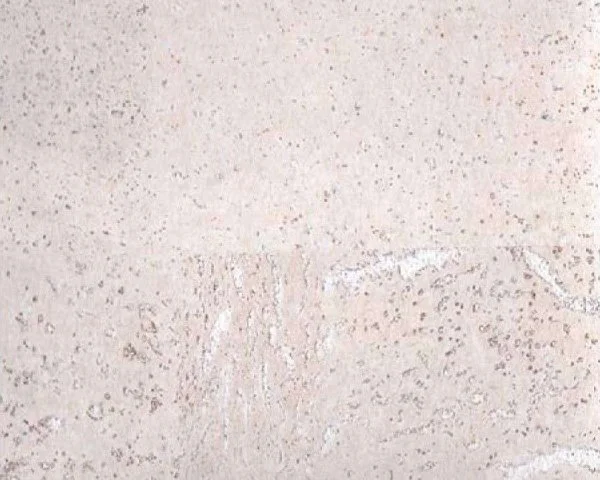 Настенное пробковое покрытие CorkArt PW 386 WS в Тюмени