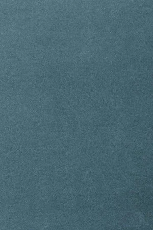 Ковровое покрытие AW Oinone 74 - (4м) в Тюмени