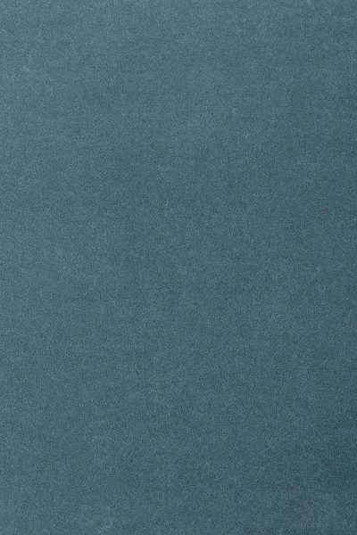 Ковровое покрытие AW Oinone 74 - (5м) в Тюмени