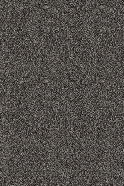 Ковровое покрытие AW Messalina 99 - (5м) в Тюмени