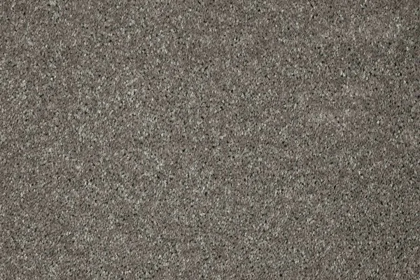 Ковровое покрытие AW Gala 94 - (5м) в Тюмени