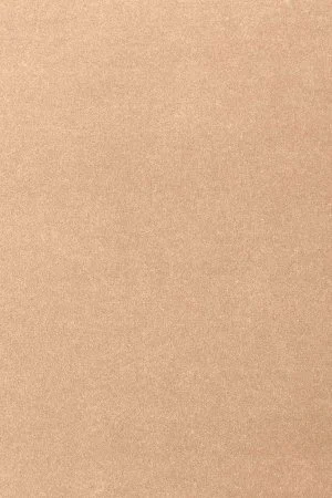 Ковровое покрытие AW Oinone 08 - (4м) в Тюмени