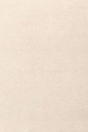 Ковровое покрытие AW Oinone 03 - (4м) в Тюмени