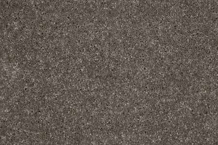 Ковровое покрытие AW Gala 49 - (4м) в Тюмени