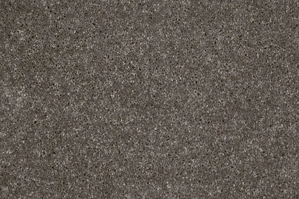 Ковровое покрытие AW Gala 49 - (4м) в Тюмени