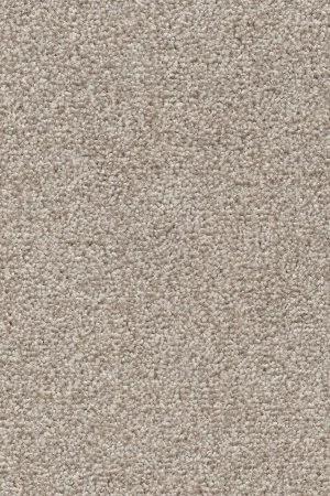 Ковровое покрытие AW Stainguard Harvest 04 - (4м) в Тюмени