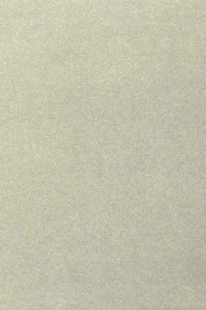 Ковровое покрытие AW Oinone 02 - (5м) в Тюмени