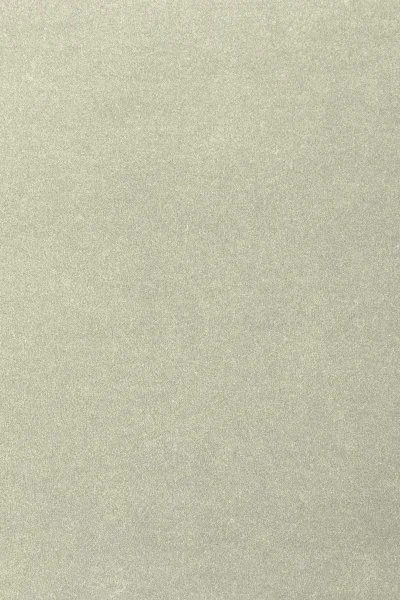 Ковровое покрытие AW Oinone 02 - (4м) в Тюмени