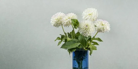 Обои Loymina Shade vol.2 SDR5, 001 в Тюмени