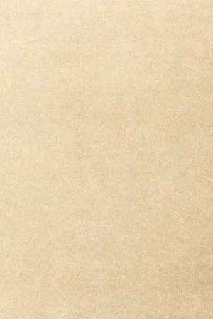 Ковровое покрытие AW Oinone 33 - (4м) в Тюмени