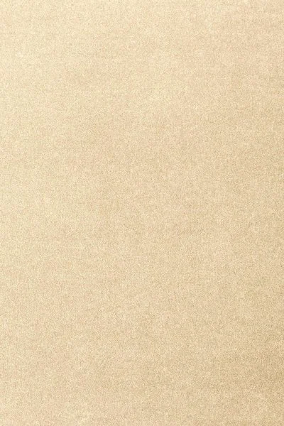 Ковровое покрытие AW Oinone 33 - (4м) в Тюмени