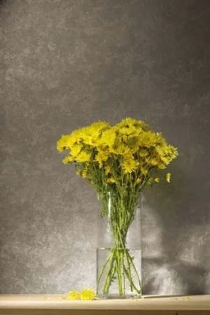 Обои Loymina Golden Library TDG 7, 008 в Тюмени