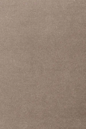 Ковровое покрытие AW Oinone 49 - (4м) в Тюмени