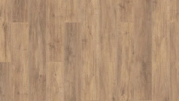 THH_Estetica_Graphics