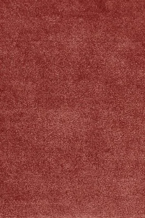 Ковровое покрытие AW Omphale 10 - (5м) в Тюмени