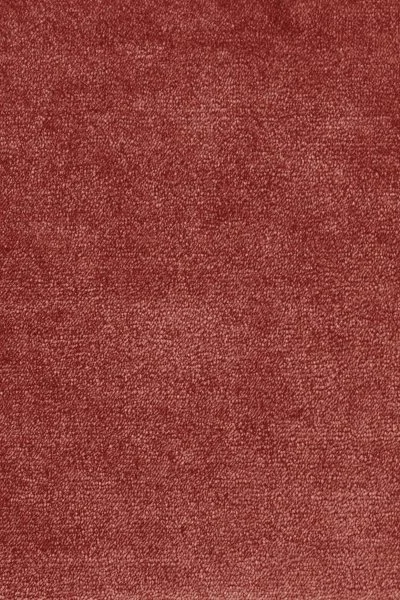 Ковровое покрытие AW Omphale 10 - (5м) в Тюмени