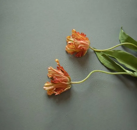 Обои Loymina Russian Classic Ru10, 006 в Тюмени