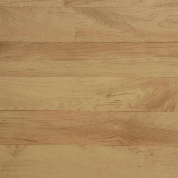 Спортивный линолеум Tarkett Omnisports Action 65 Cold Beech в Тюмени