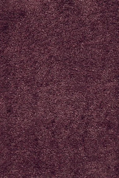 Ковровое покрытие AW Fedone 19 - (5м) в Тюмени