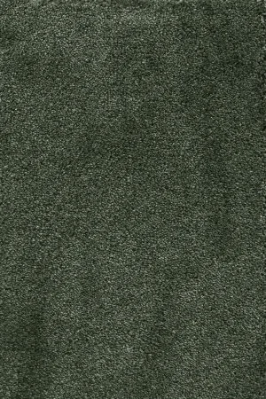 Ковровое покрытие AW Fedone 24 - (5м) в Тюмени