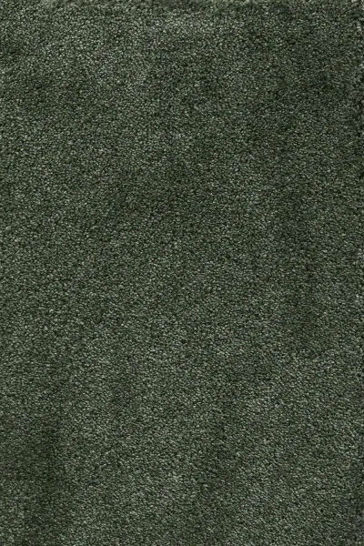 Ковровое покрытие AW Fedone 24 - (5м) в Тюмени