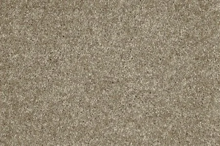 Ковровое покрытие AW Gala 33 - (4м) в Тюмени