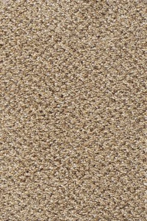 Ковровое покрытие AW Stainaway Tweed 50 - (4м) в Тюмени