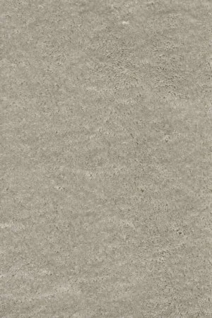 Ковровое покрытие AW Fedone 90 - (5м) в Тюмени