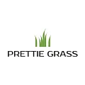Искусственная трава Prettie Grass купить в Тюмени по выгодной цене Искусственная трава Prettie Grass в Тюмени