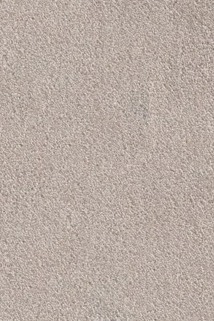 Ковровое покрытие AW Messalina 37 - (5м) в Тюмени