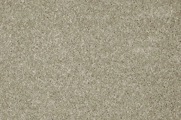 Ковровое покрытие AW Gala 03 - (4м) в Тюмени