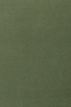 Ковровое покрытие AW Oinone 24 - (4м) в Тюмени