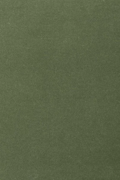 Ковровое покрытие AW Oinone 24 - (4м) в Тюмени