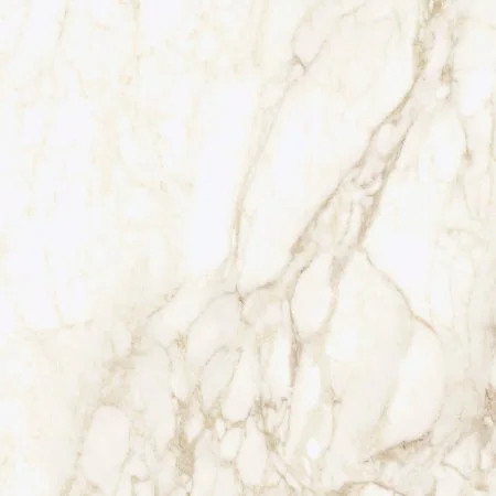 Керамогранит Coliseum Микеланджело Ворм 60х60 (Натуральный и Реттифицированный) в Тюмени