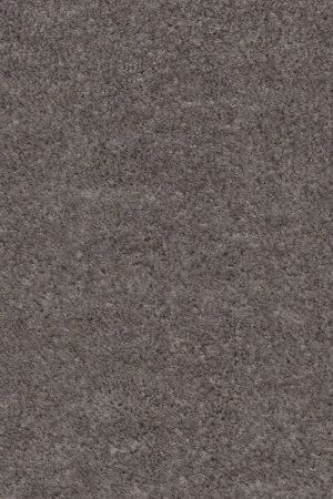 Ковровое покрытие AW Euphoria 45 - (5м) в Тюмени