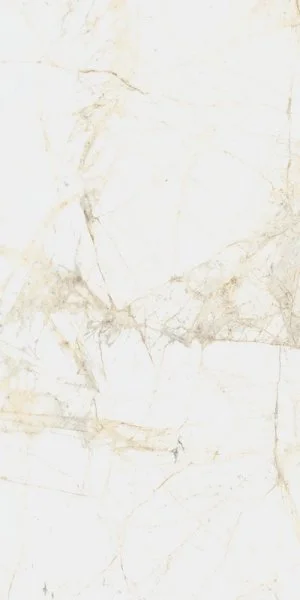 Керамогранит Coliseum Канова Уайт 60х120 (Натуральный и Реттифицированный) в Тюмени