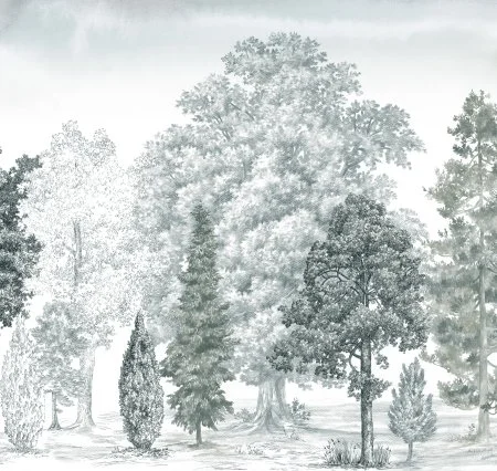 Обои Loymina Пейзаж vol. 2 ART14 011 в Тюмени